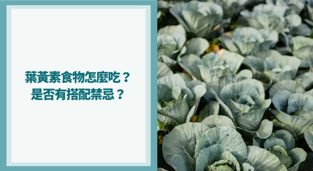 葉黃素食物怎麼吃？是否有搭配禁忌？